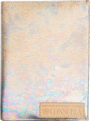 shiny silver consuela notebook, iridescent notebook 